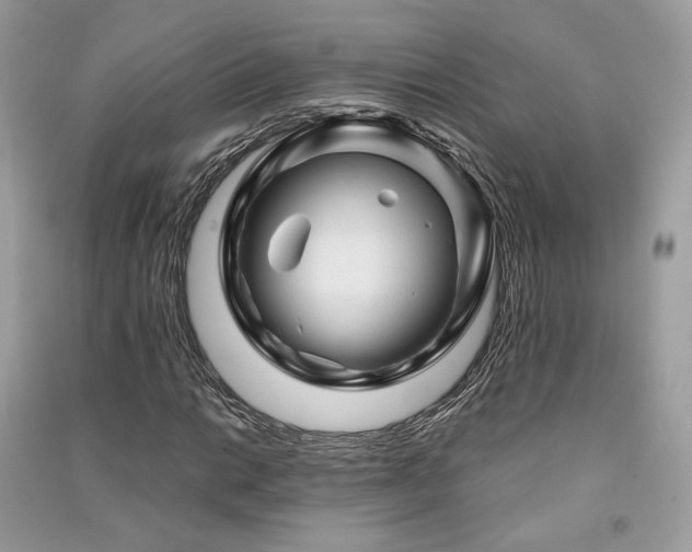 X0000091361014200708101415