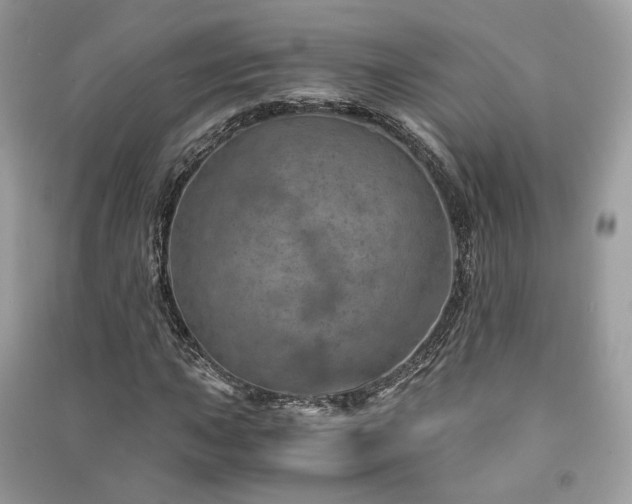 X0000091361015200708101415