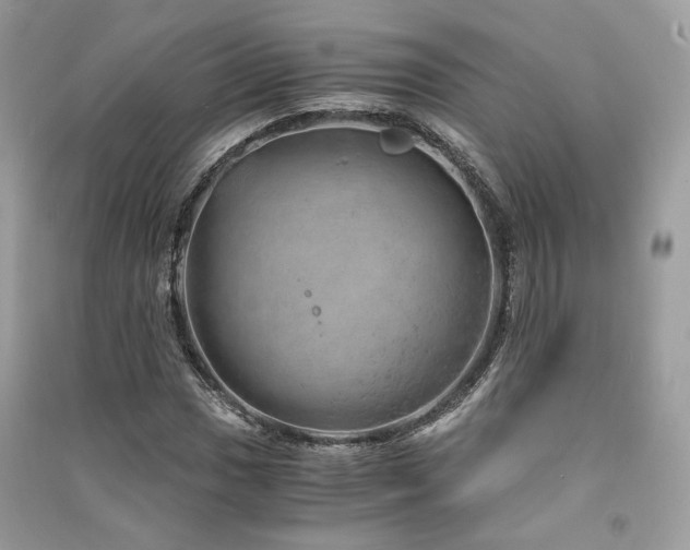 X0000091361017200708101415