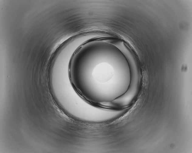 X0000091361018200708101415