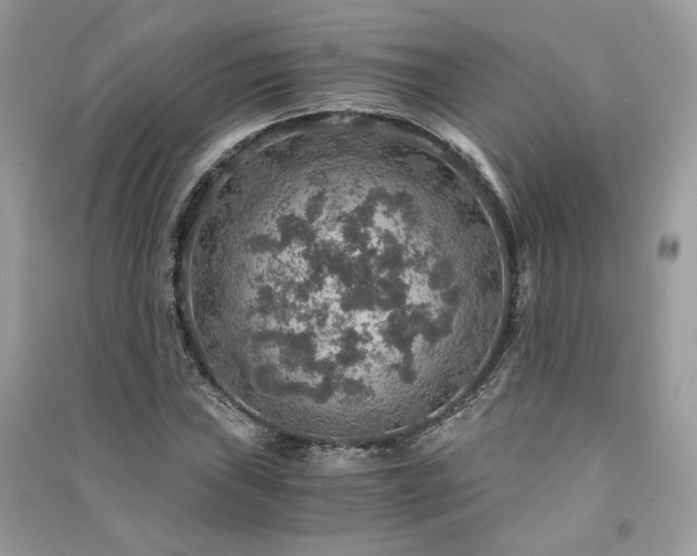 X0000091361019200708101415