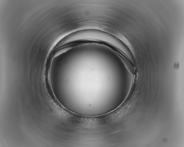 X0000091361020200708101415