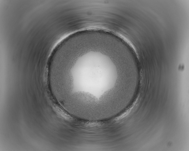 X0000091361021200708101415