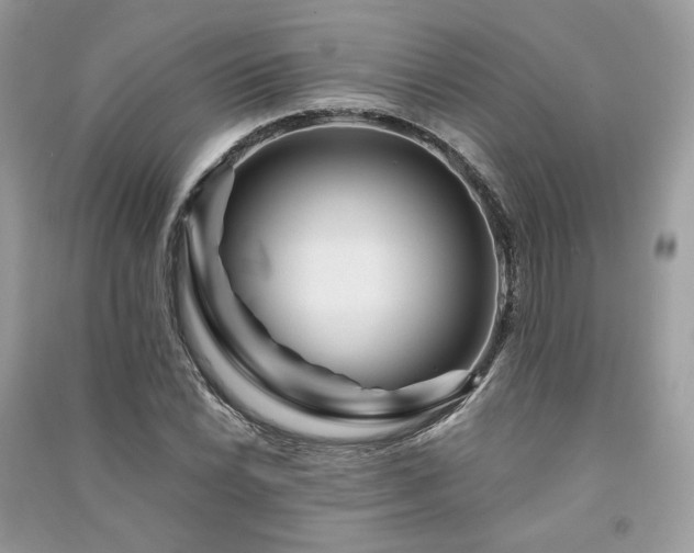 X0000091361022200708101415