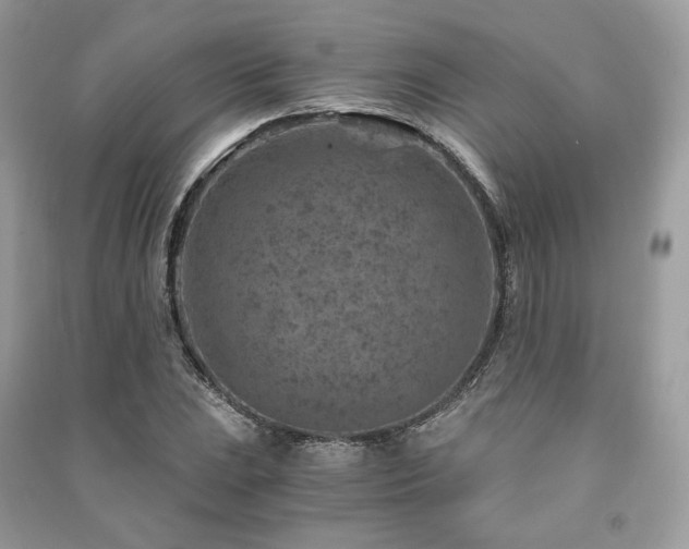 X0000091361023200708101415