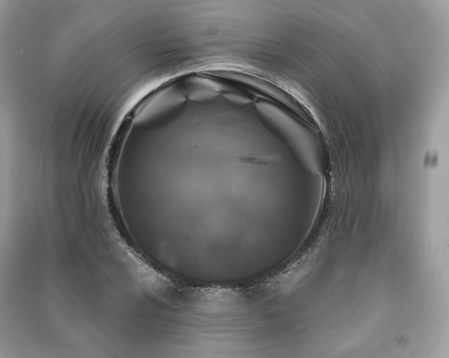 X0000091361024200708101415