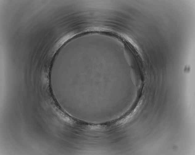 X0000091361025200708101415
