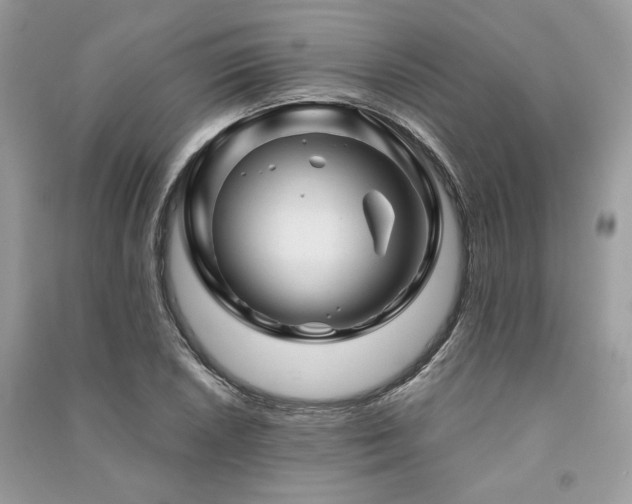 X0000091361026200708101415