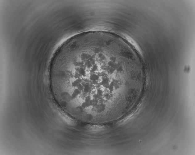 X0000091361027200708101415