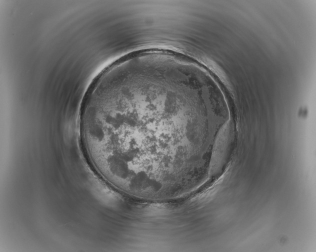 X0000091361028200708101415