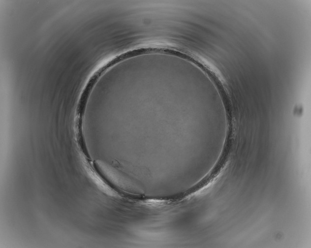 X0000091361029200708101415