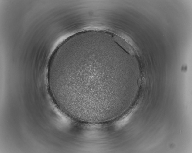 X0000091361030200708101415