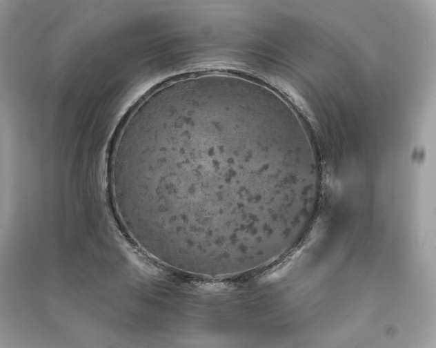 X0000091361031200708101415