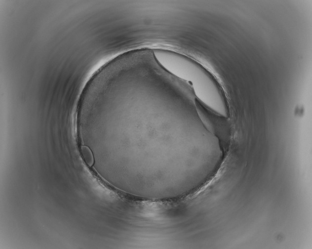 X0000091361032200708101415