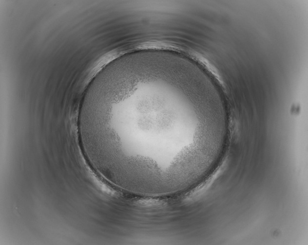 X0000091361033200708101415