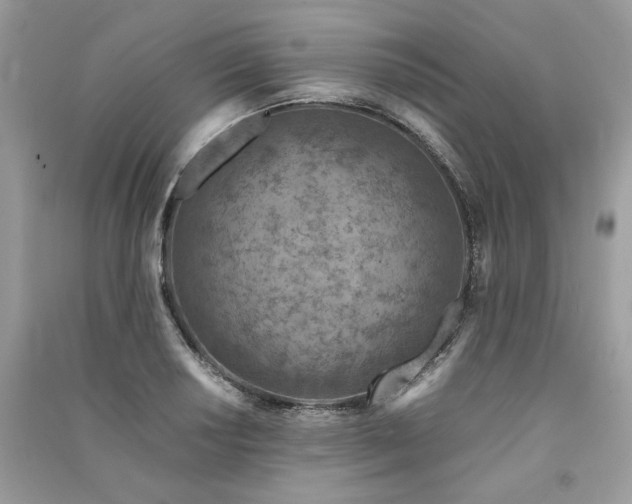 X0000091361034200708101415