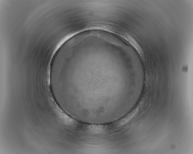 X0000091361036200708101415