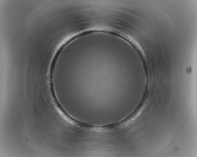X0000091361037200708101415