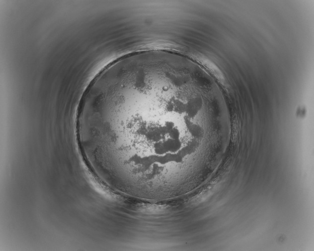 X0000091361039200708101415