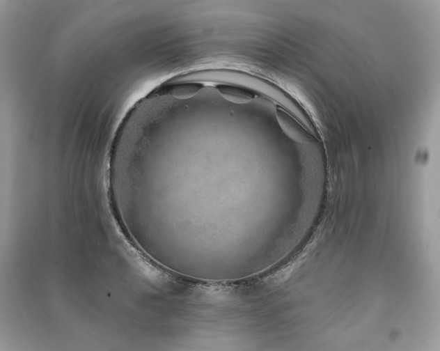 X0000091361040200708101415