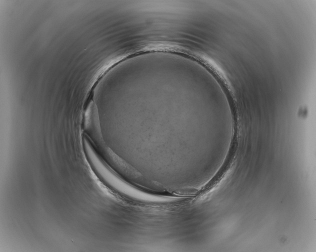 X0000091361041200708101415