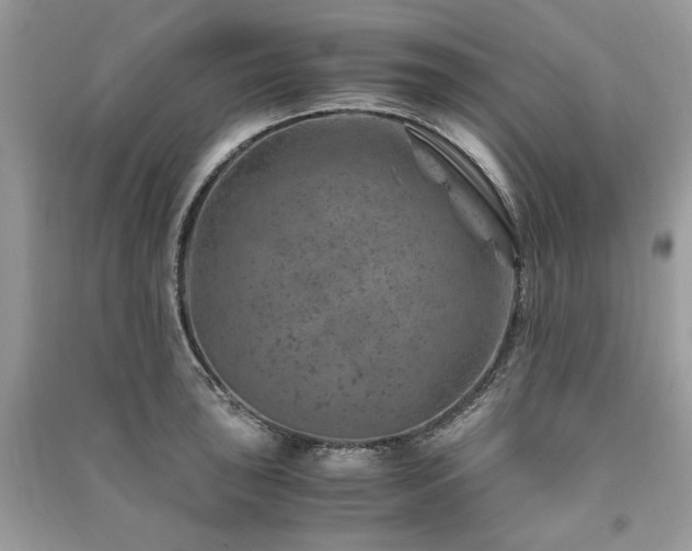 X0000091361043200708101415