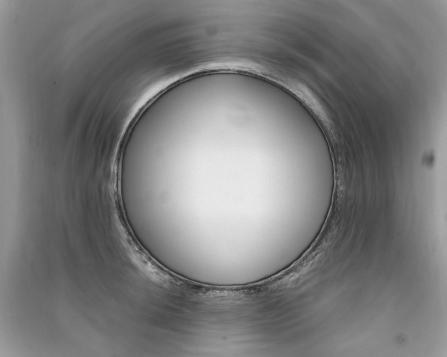 X0000091361044200708101415