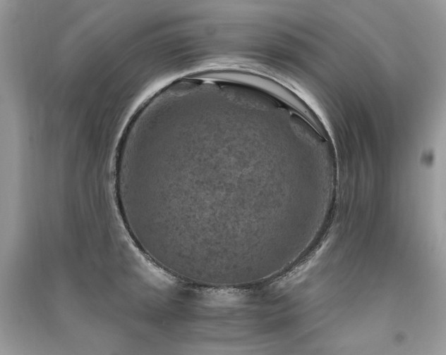 X0000091361045200708101415