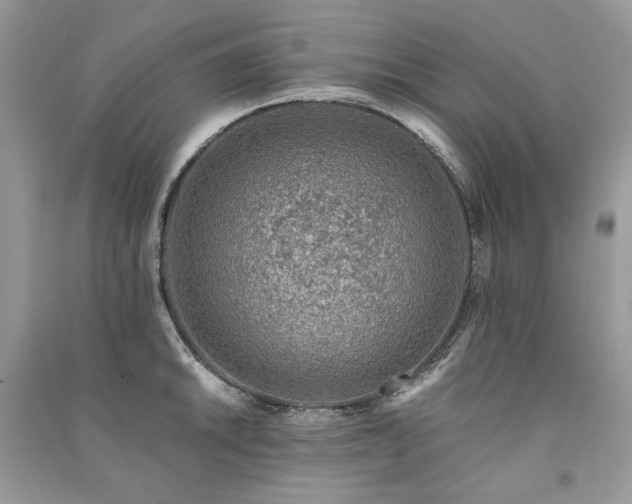 X0000091361046200708101415