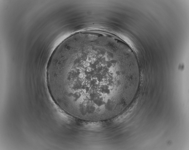X0000091361047200708101415