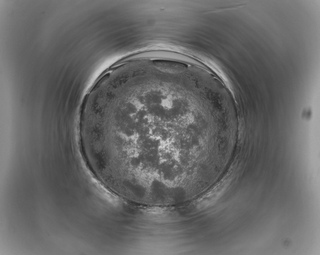 X0000091361048200708101415