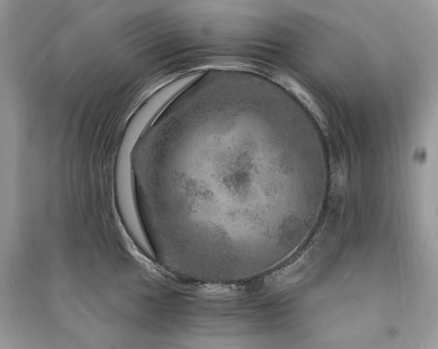X0000091361049200708101415