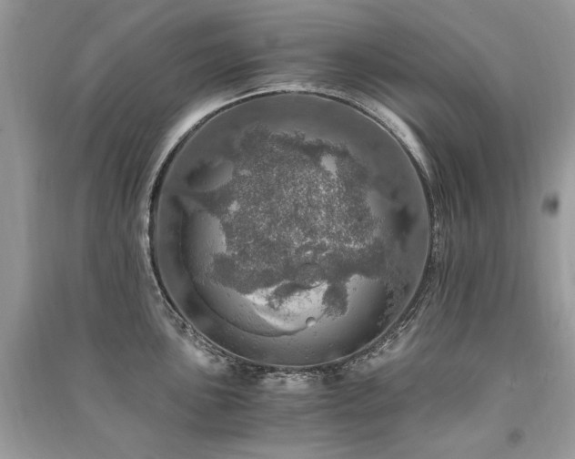 X0000091361051200708101415