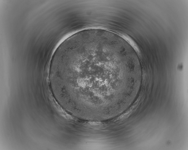X0000091361052200708101415