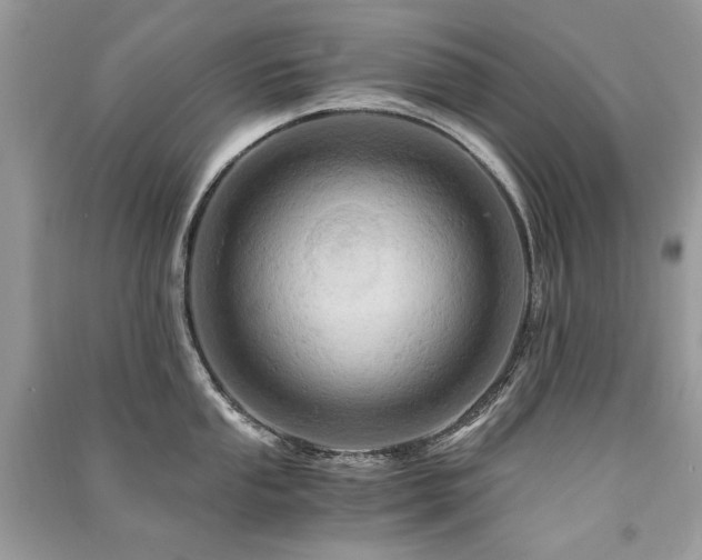 X0000091361053200708101415