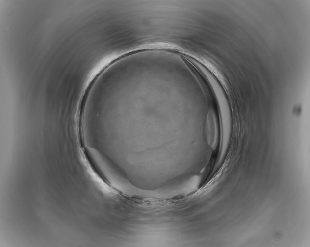 X0000091361054200708101415