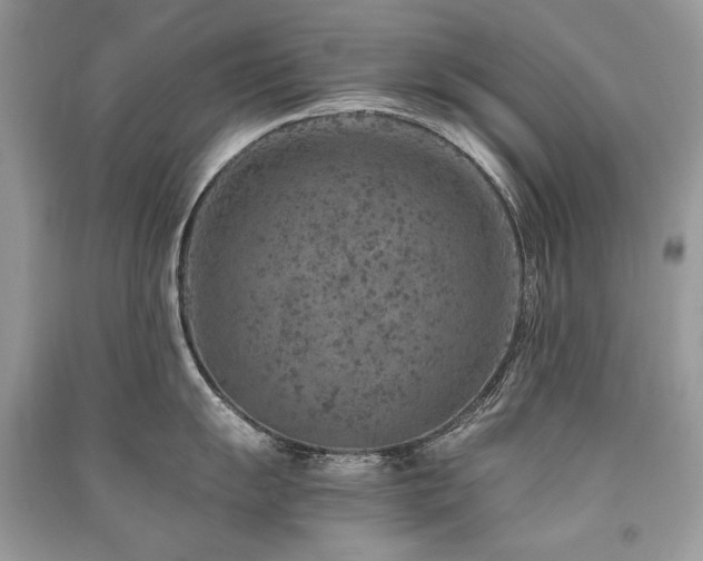 X0000091361055200708101415