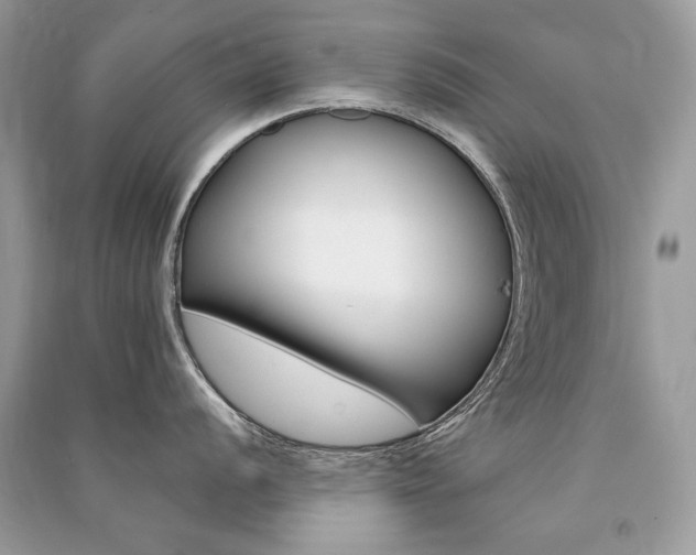 X0000091361056200708101415