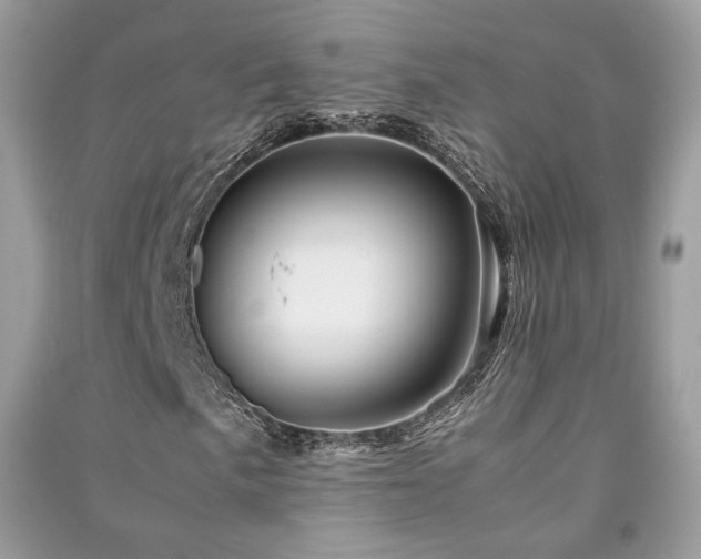 X0000091361057200708101415