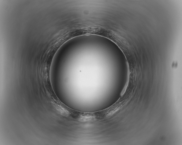 X0000091361058200708101415