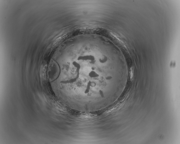 X0000091361059200708101415
