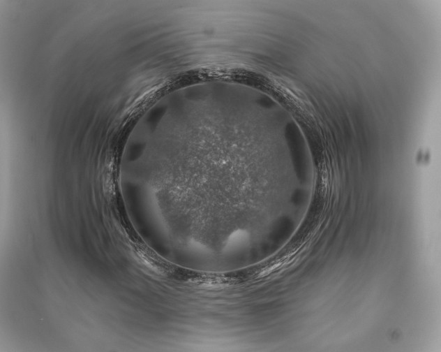 X0000091361060200708101415