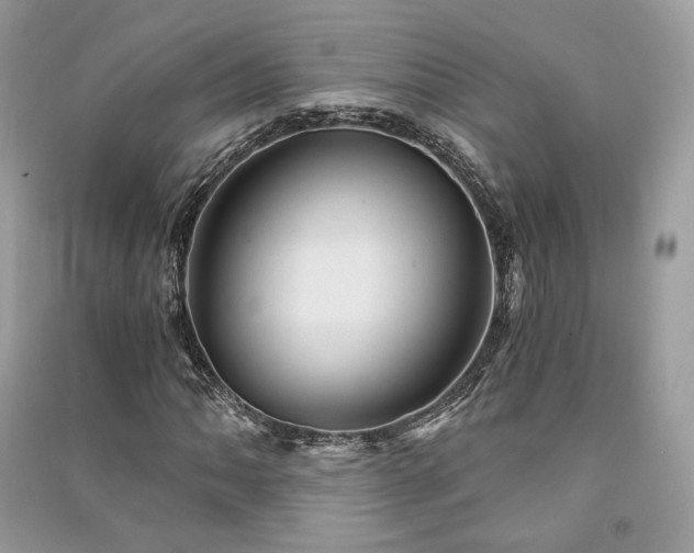 X0000091361062200708101415