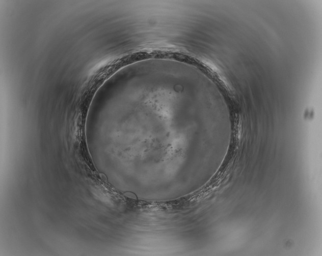 X0000091361063200708101415
