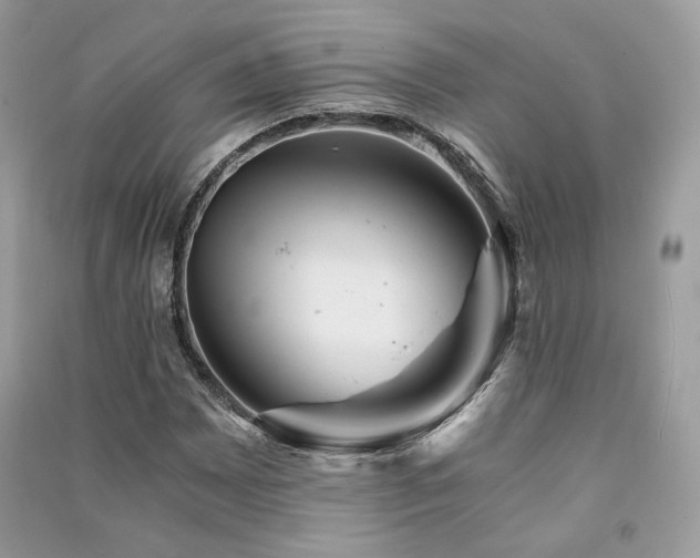 X0000091361065200708101415