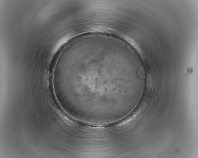X0000091361067200708101415