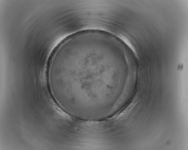 X0000091361068200708101415