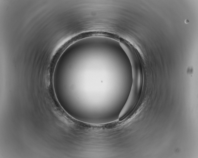 X0000091361069200708101415