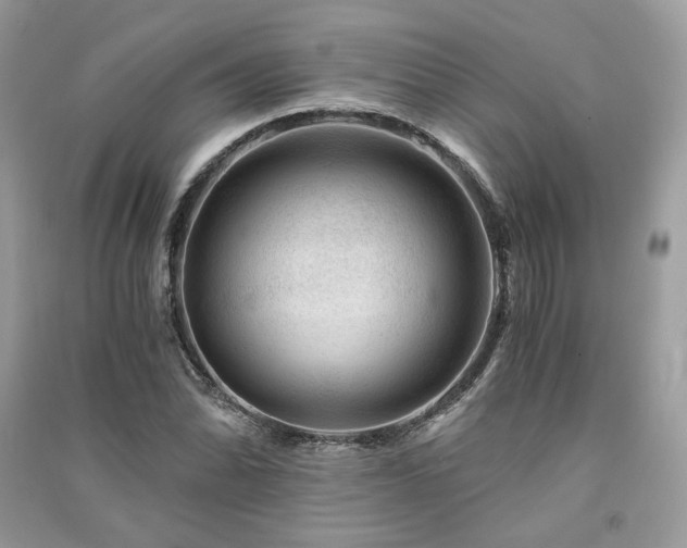 X0000091361070200708101415