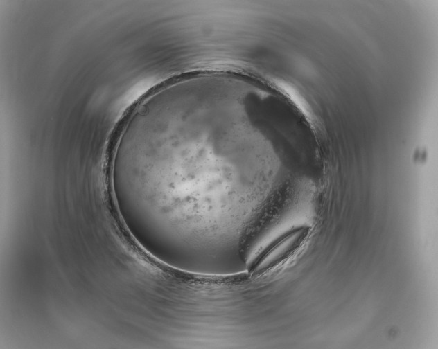 X0000091361071200708101415